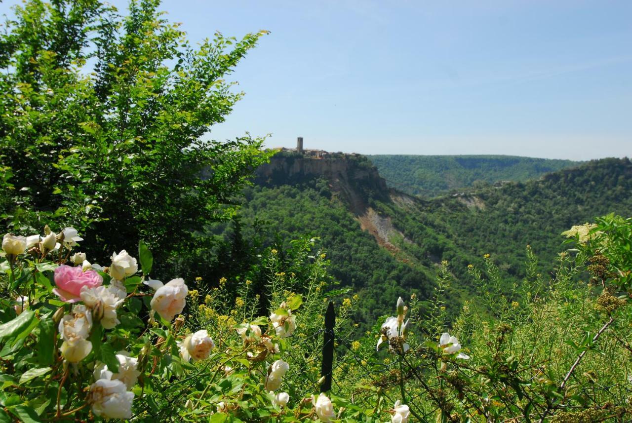 Willa Casa Con Vista Mozzafiato Su Civita Di Bagnoregio Lubriano Zewnętrze zdjęcie